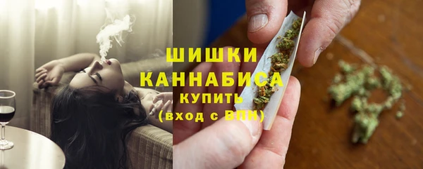 прущие грибы Богородск