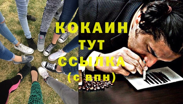 прущие грибы Богородск