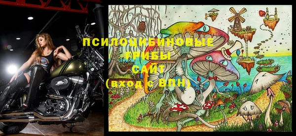 прущие крисы Богданович