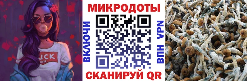 Псилоцибиновые грибы мухоморы  где найти наркотики  Мезень 